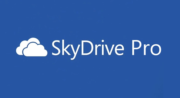 SkyDrive Pro