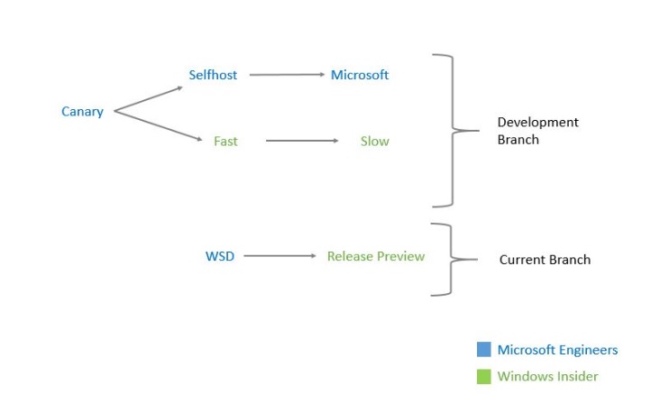 windows-insider-branches