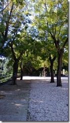 Lumia 920 (24) Lumia 920 (24)