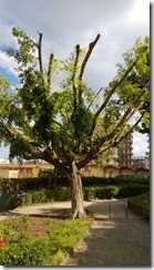 WP_20130508_013