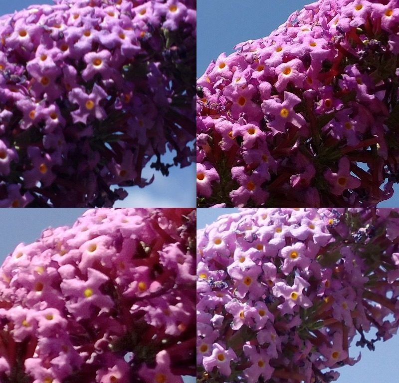 floretcomp