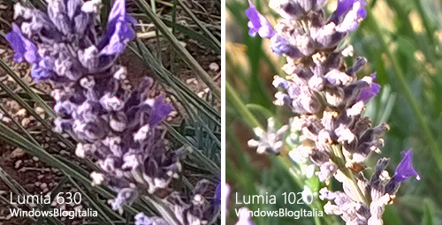 Lumia 630 vs 1020 (4)