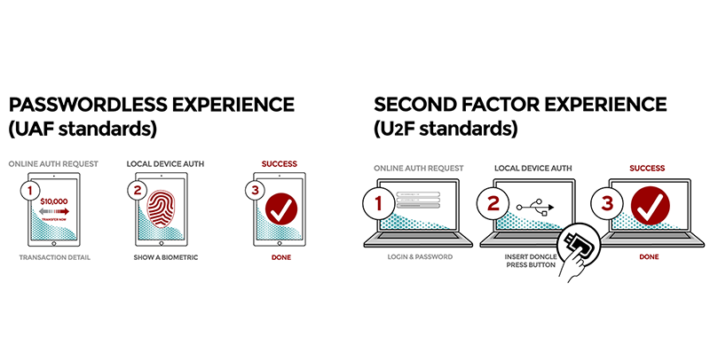 graphic_FIDOExperience_SM