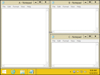 SnapView2