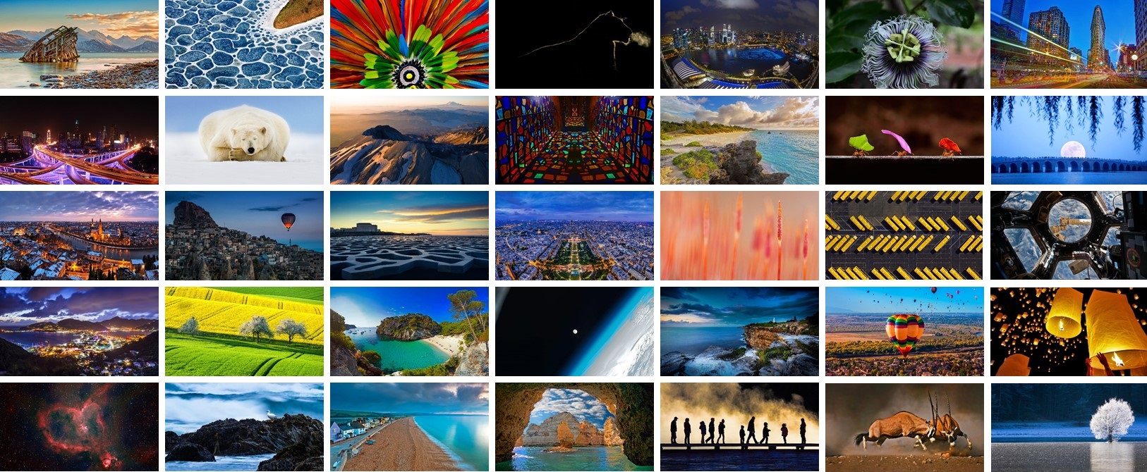 Bing 2015 - WindowsBlogItalia