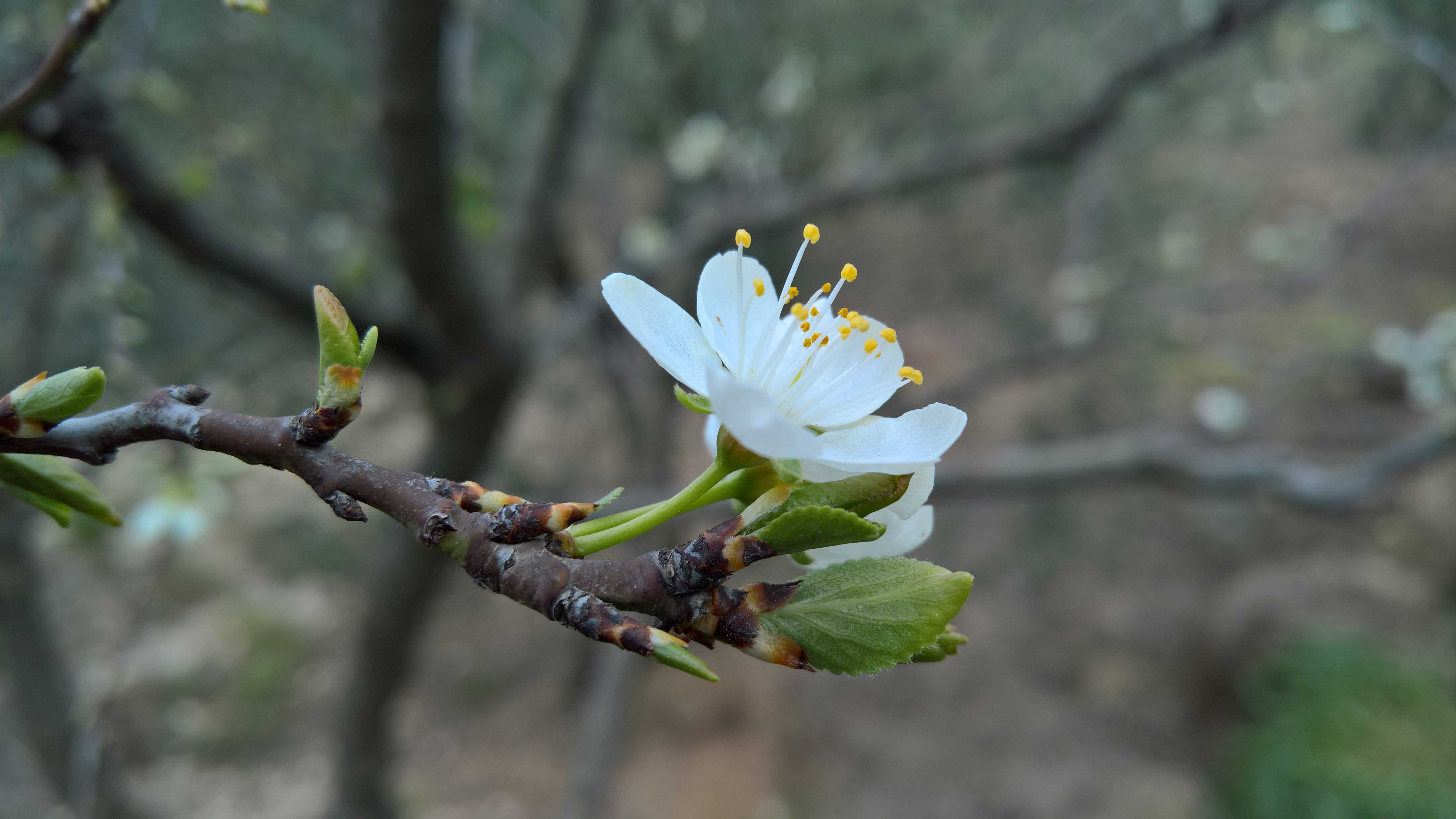 WP_20160328_16_25_16_Rich_LI_ridotta2