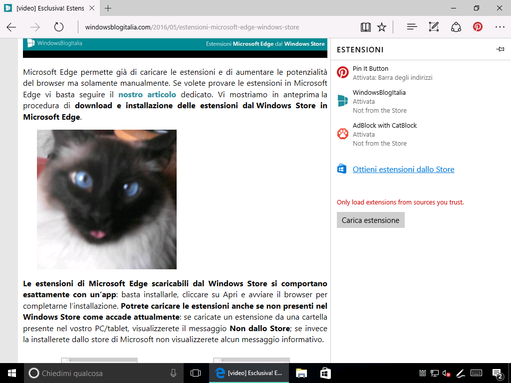 ad-blocker-catblock-windows-10-microsoft-edge