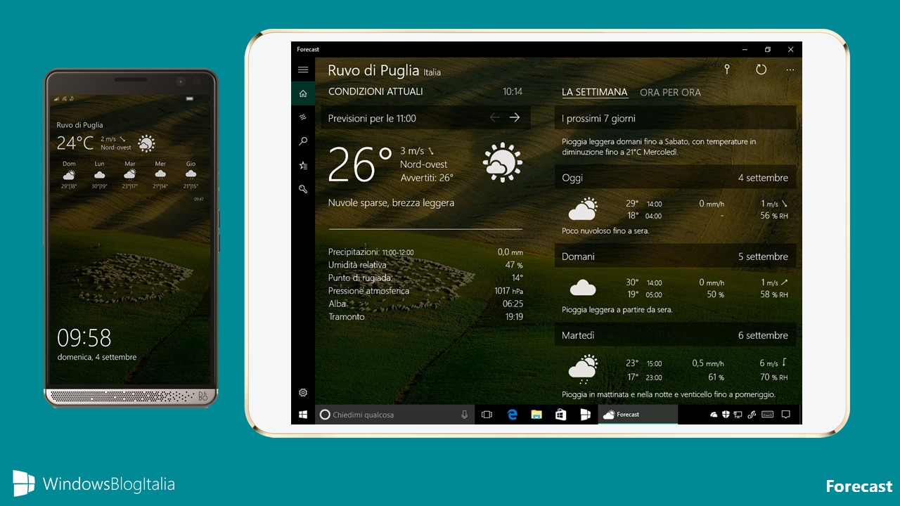Forecast