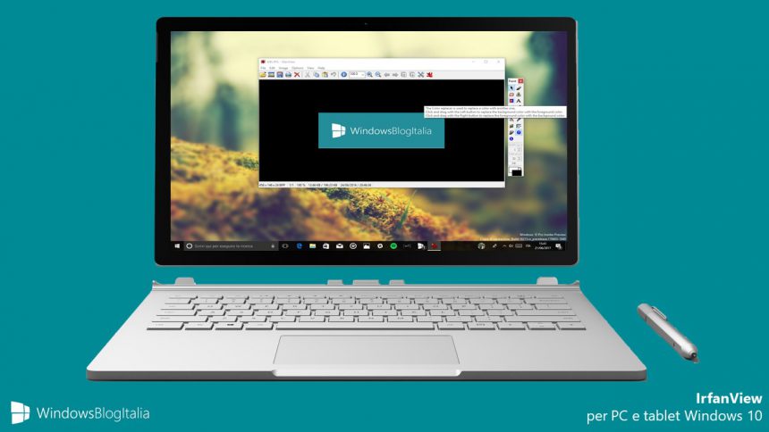 download irfanview windows 11 download irfanview windows 11