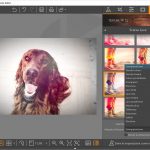 Fotophire Editing Toolkit