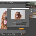 Fotophire Editing Toolkit