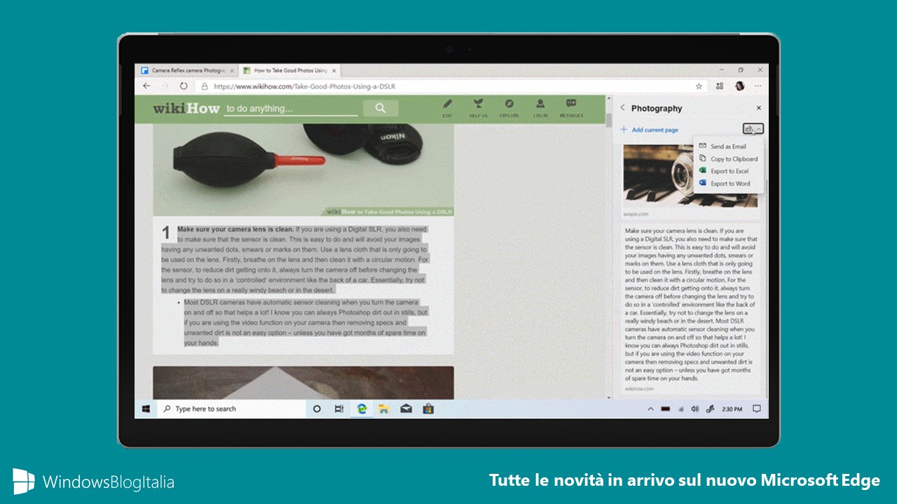 immagine articolo