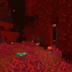 Minecraft NetherWart Forest Red