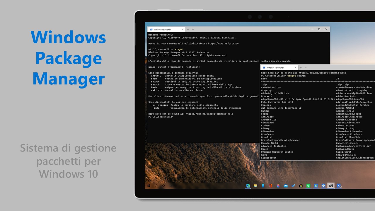 Windows Package Manager per Windows 10