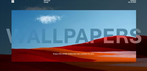 immagine articolo