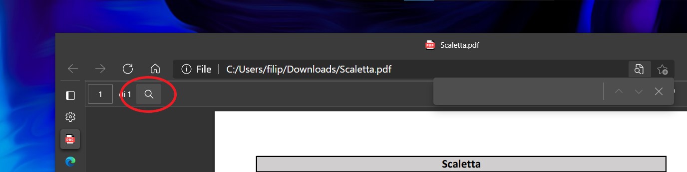 Microsoft Edge - Icona ricerca nei file PDF