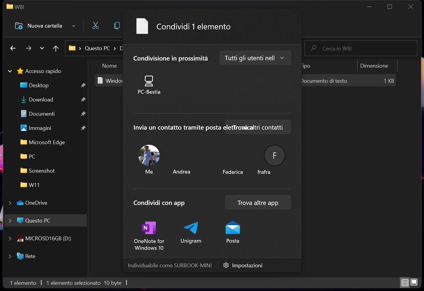 Pannello di condivisione nativa di Windows 11