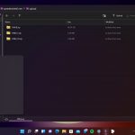 MyFTP per Windows 3