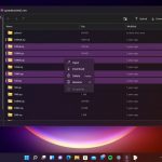 MyFTP per Windows 5