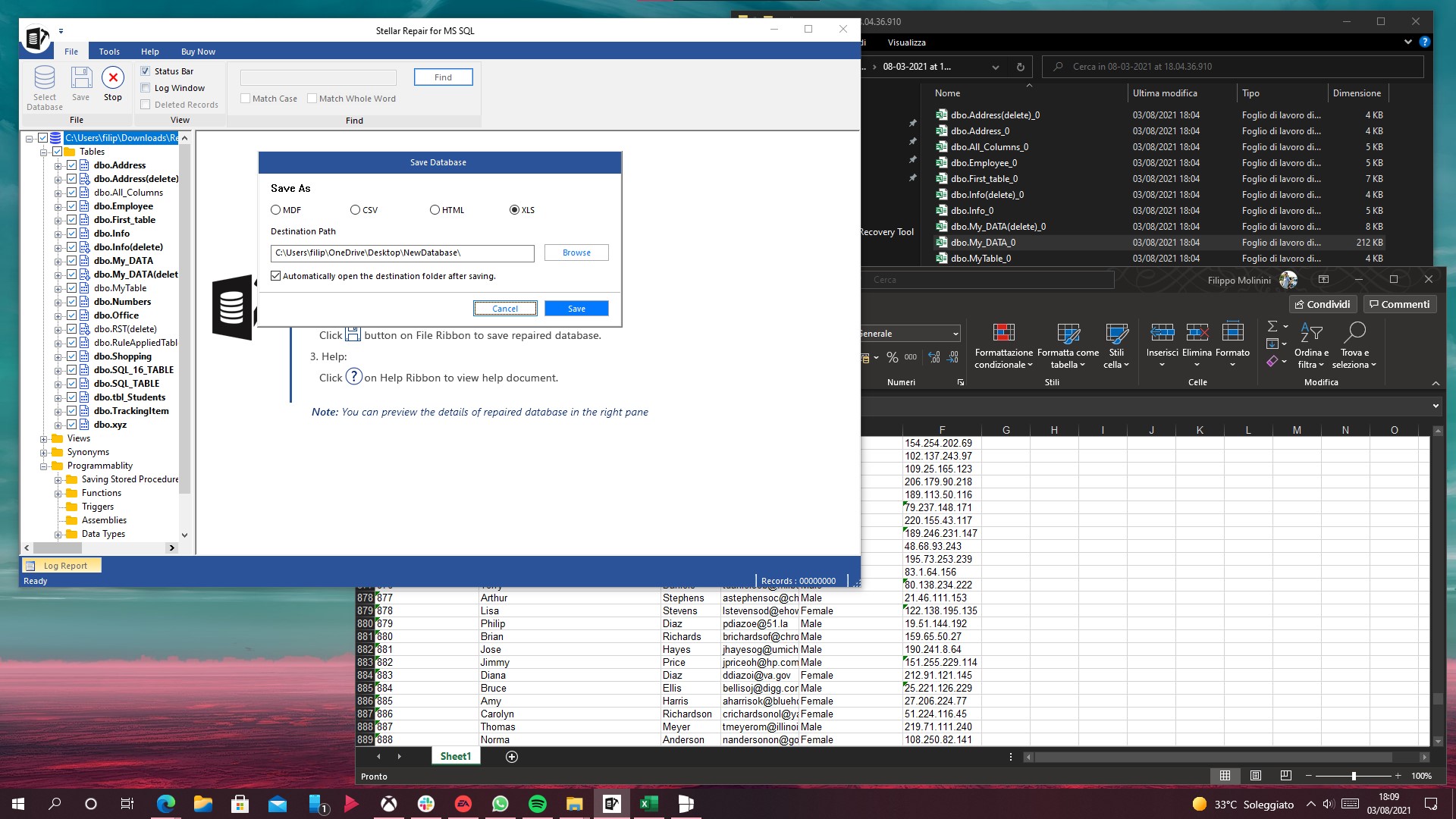 Stellar Repair for MS SQL per Windows - Esportazione database in file XLS
