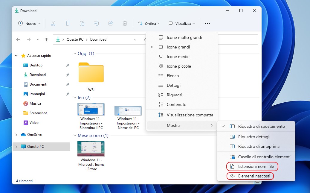 Windows 11 - Esplora file - Visualizzazione Estensioni nomi file ed Elementi nascosti