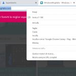 Google Chrome Canary - Menu contestuale barra degli indirizzi con stile di Windows 11