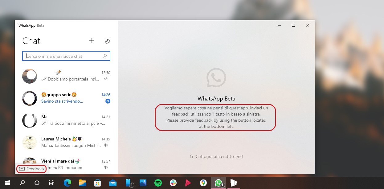 WhatsApp Beta UWP per Windows - Feedback