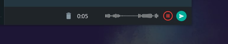 WhatsApp Desktop per Windows - Pausa nella registrazione dei messaggi vocali