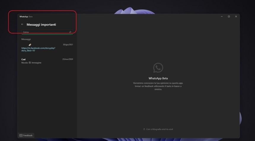 WhatsApp Beta UWP per Windows - Messaggi importanti