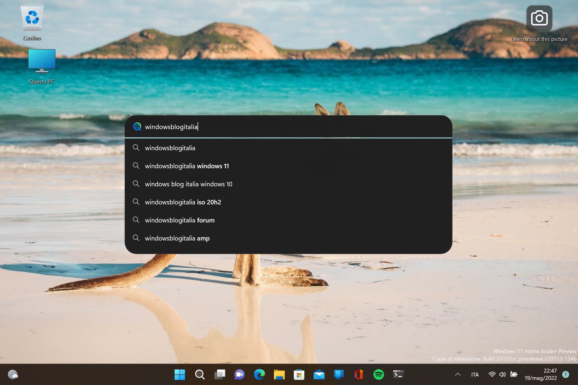 Windows 11 - Ricerca sul desktop