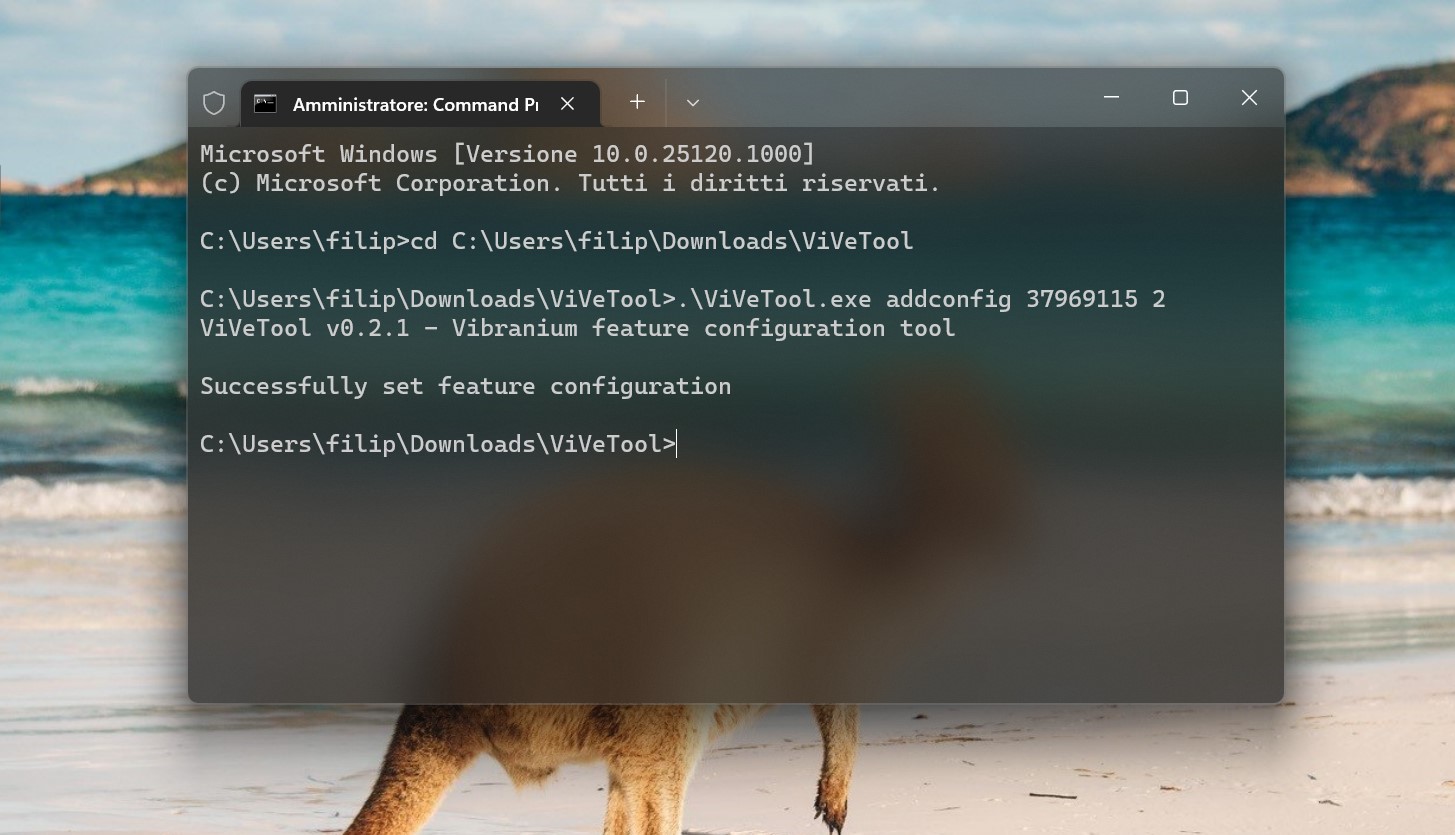 Windows 11 - ViVeTool comando per abilitare la ricerca sul desktop