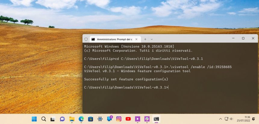 ViVeTool - Abilitazione nuovo tema Spotlight - Windows 11