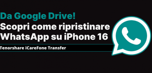 immagine articolo