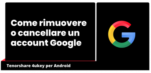 immagine articolo