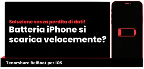 immagine articolo