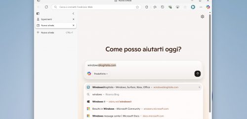 immagine articolo