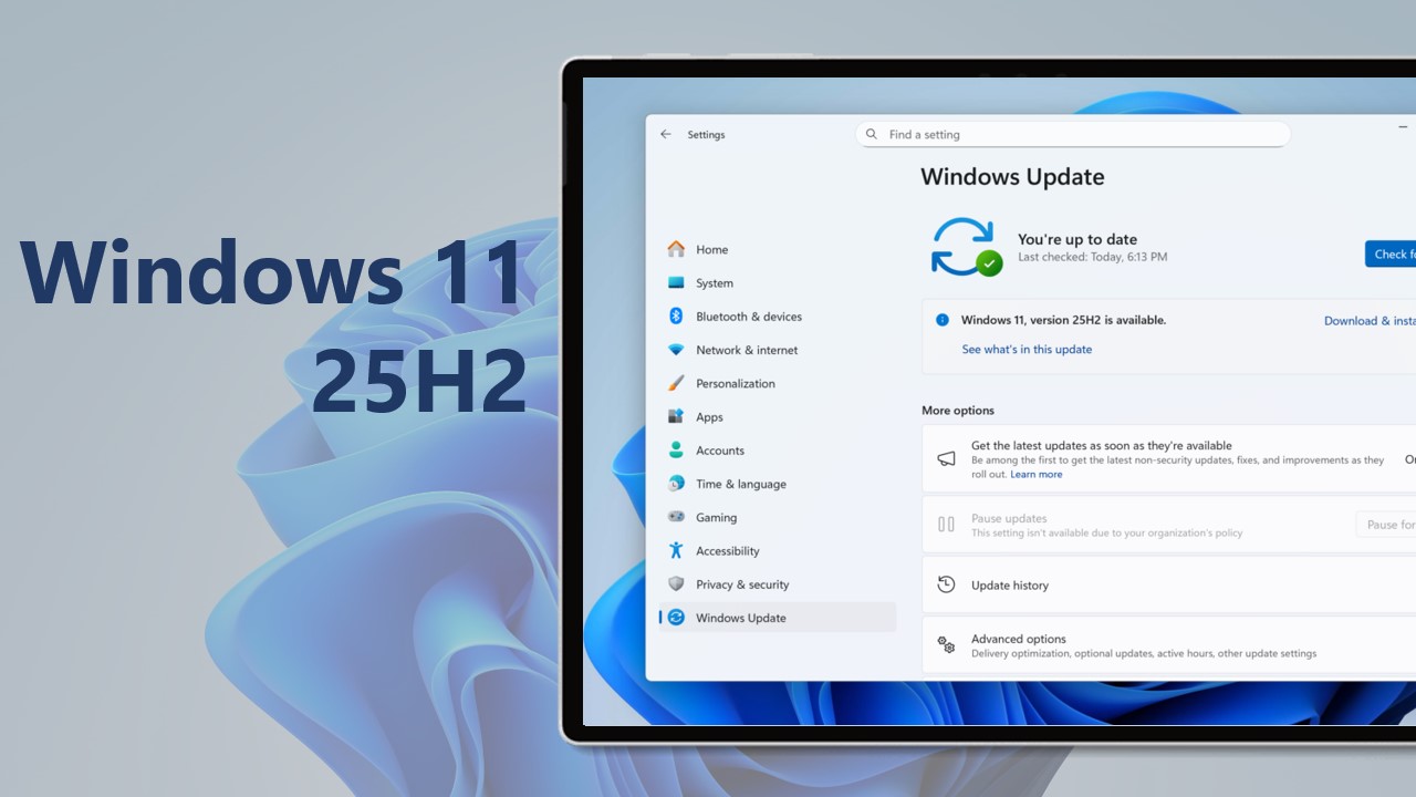 www.windowsblogitalia.com